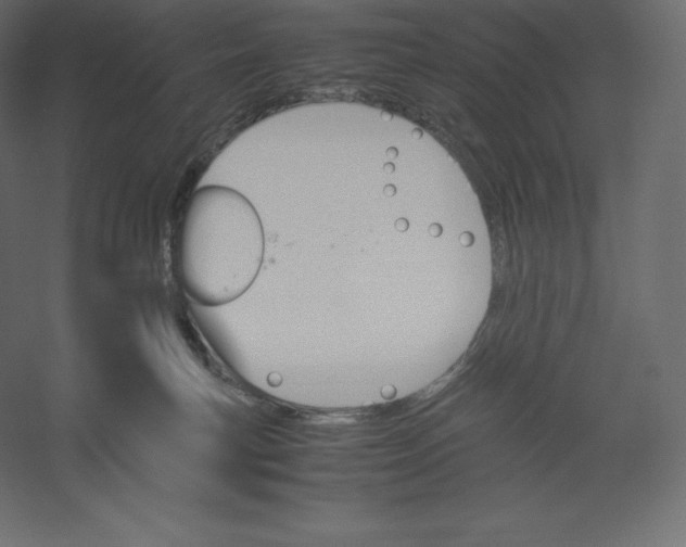 X0000060250183200511241410
