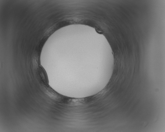 X0000060250188200511241410