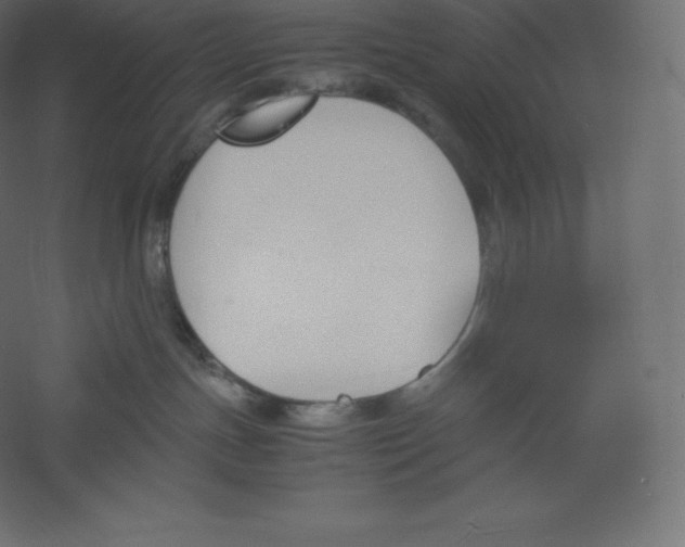 X0000060250191200511241410