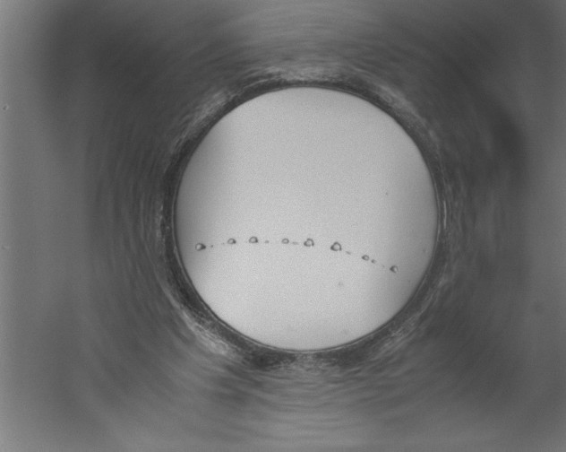 X0000060250201200511241409