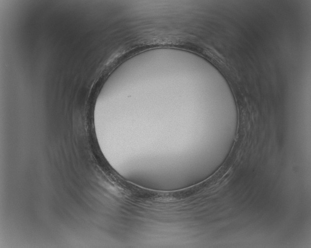 X0000060250203200511241409