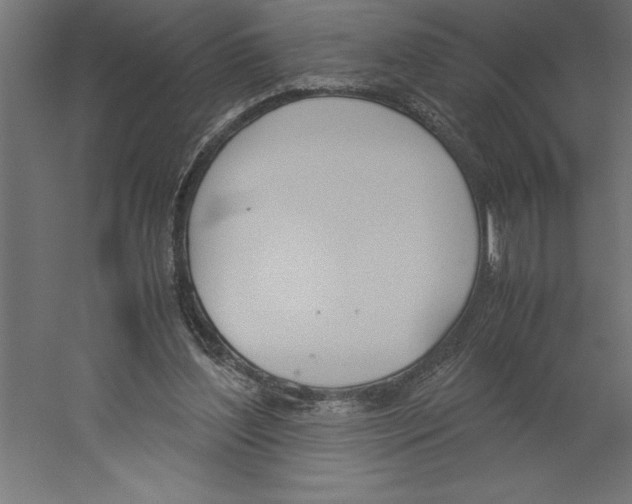 X0000060250204200511241409