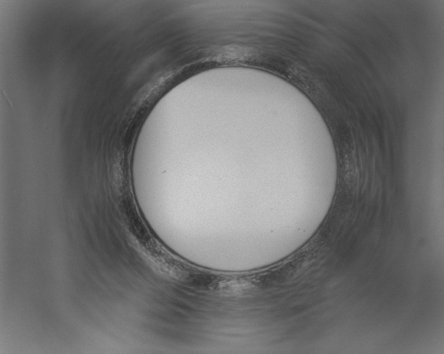 X0000060250208200511241409