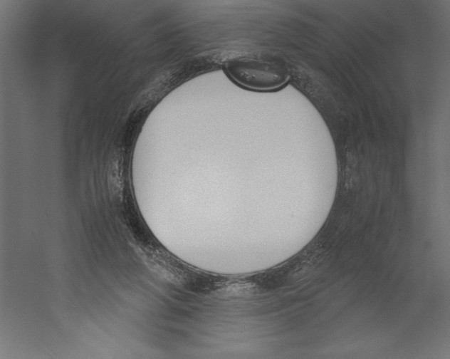 X0000060250210200511241409