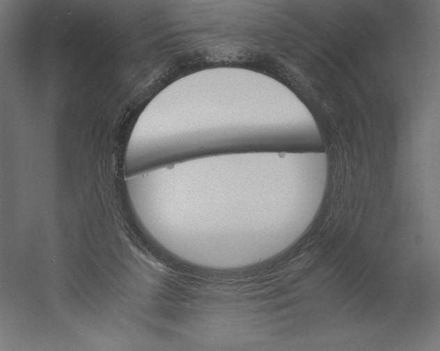 X0000060250211200511241409