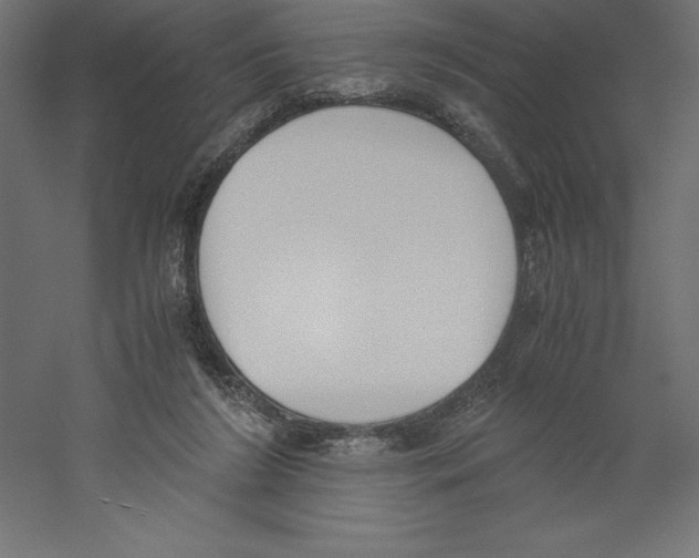 X0000060250212200511241409