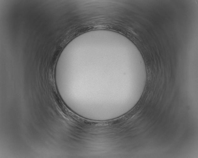 X0000060250213200511241409