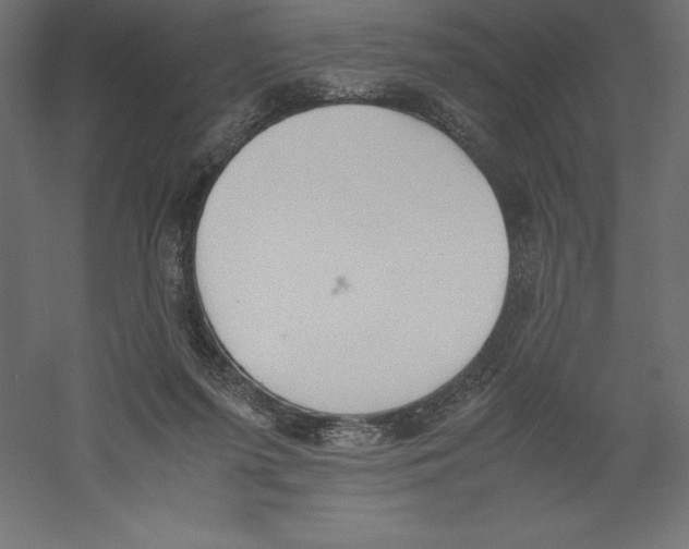 X0000060250215200511241409