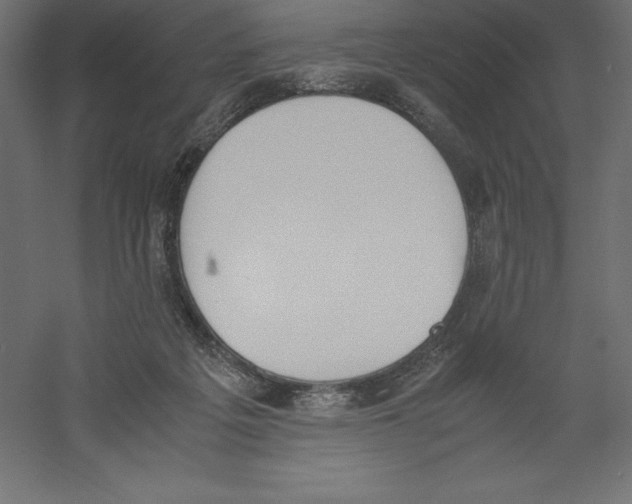 X0000060250217200511241409