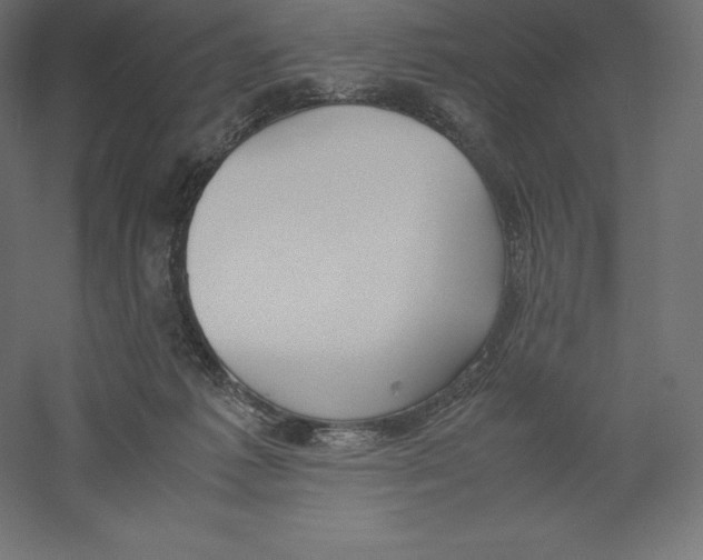 X0000060250221200511241409