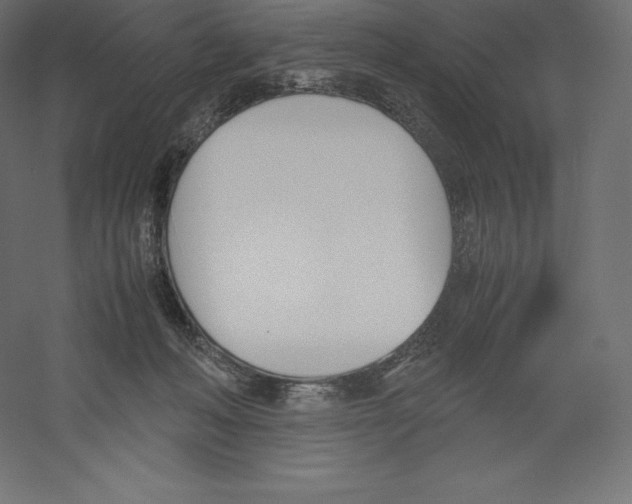 X0000060250222200511241409