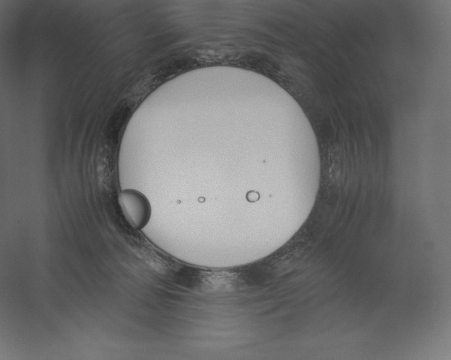 X0000060250226200511241409