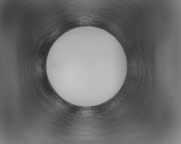 X0000060250228200511241409