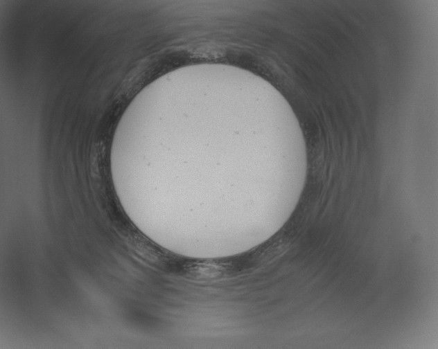 X0000060250229200511241409