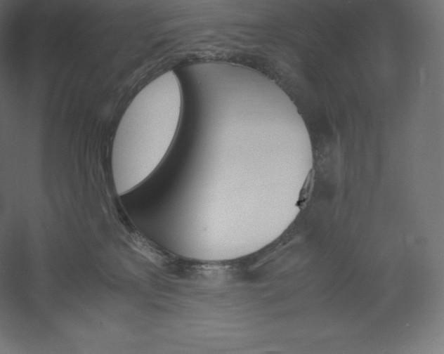 X0000060250233200511241409