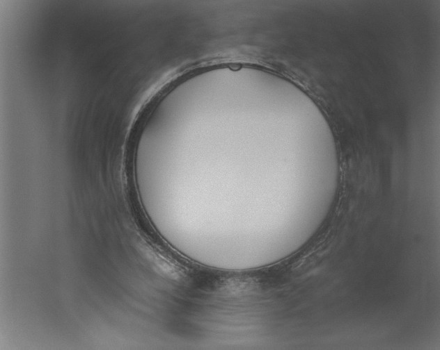 X0000060250248200511241408