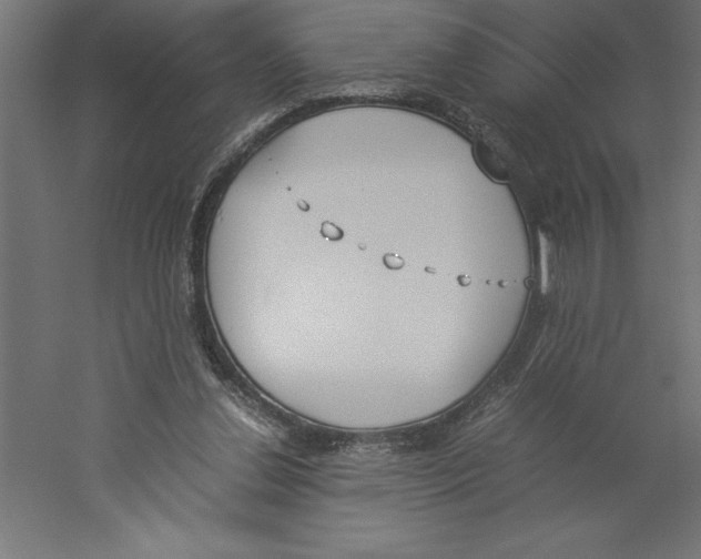 X0000060250252200511241408