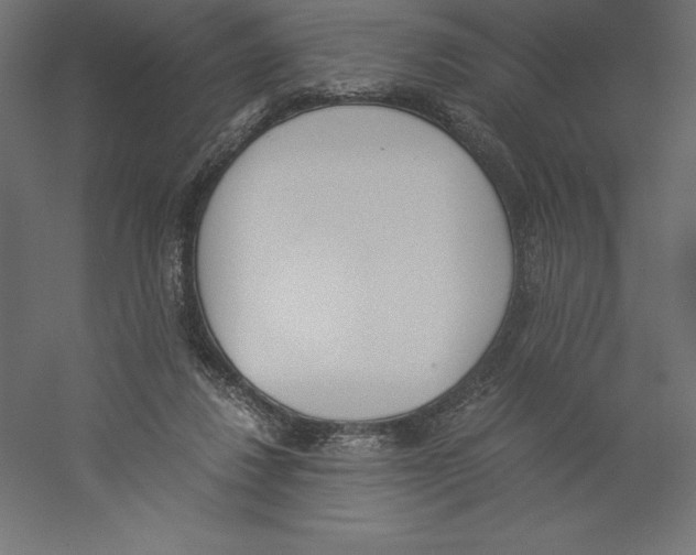 X0000060250260200511241408