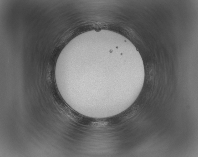 X0000060250266200511241408