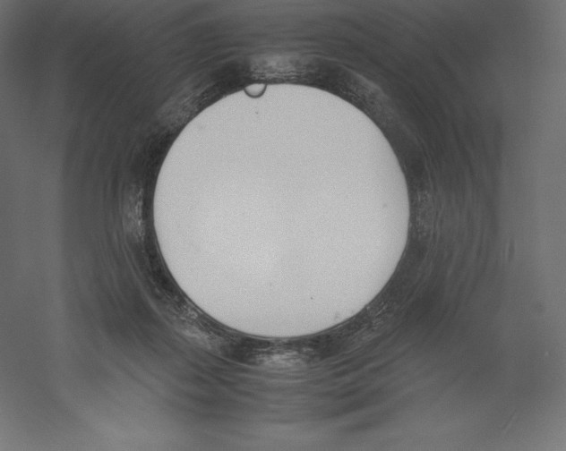 X0000060250267200511241408