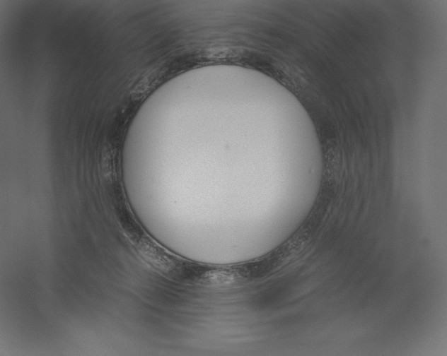 X0000060250272200511241408