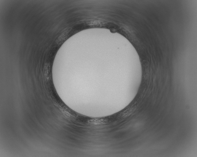 X0000060250273200511241408