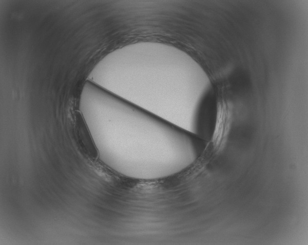 X0000060250280200511241409