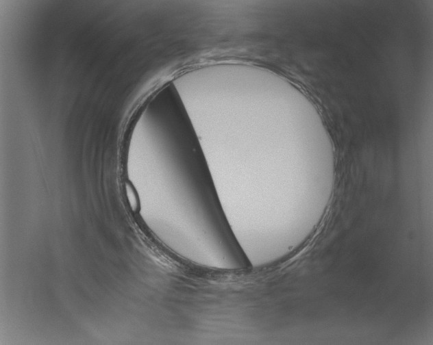 X0000060250293200511241408