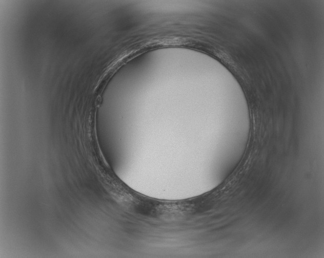 X0000060250297200511241408
