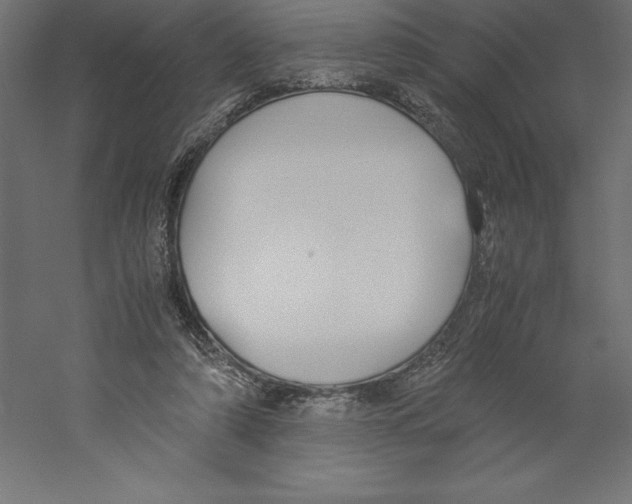 X0000060250306200511241408