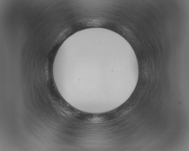 X0000060250312200511241407