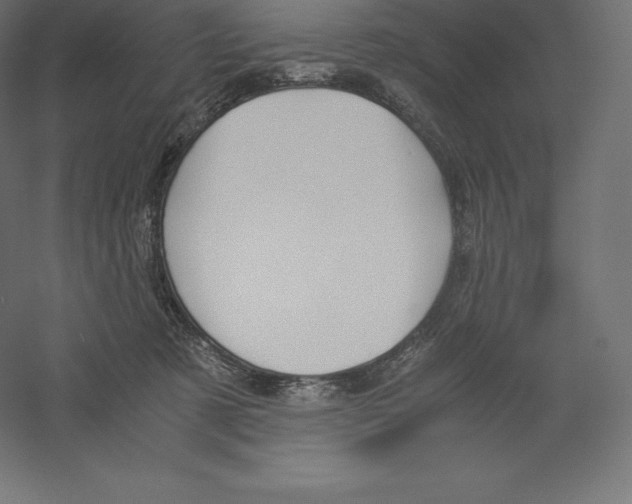 X0000060250321200511241407