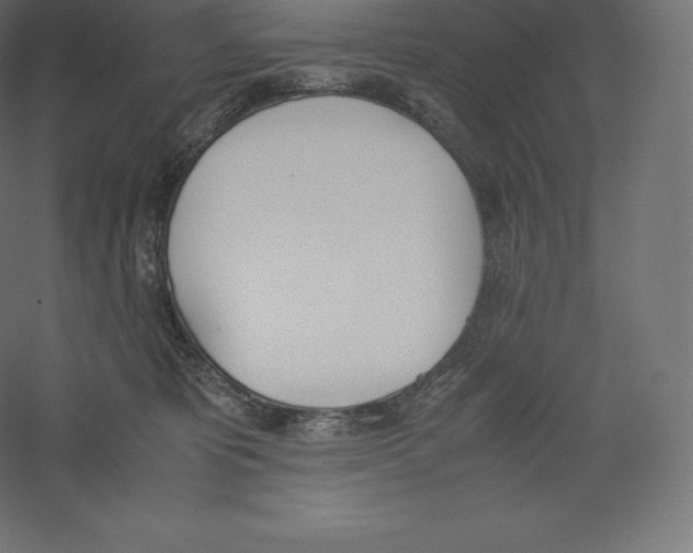 X0000060250325200511241407