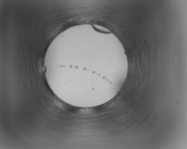 X0000060250335200511241407