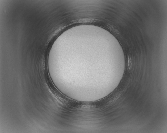 X0000060250348200511241406