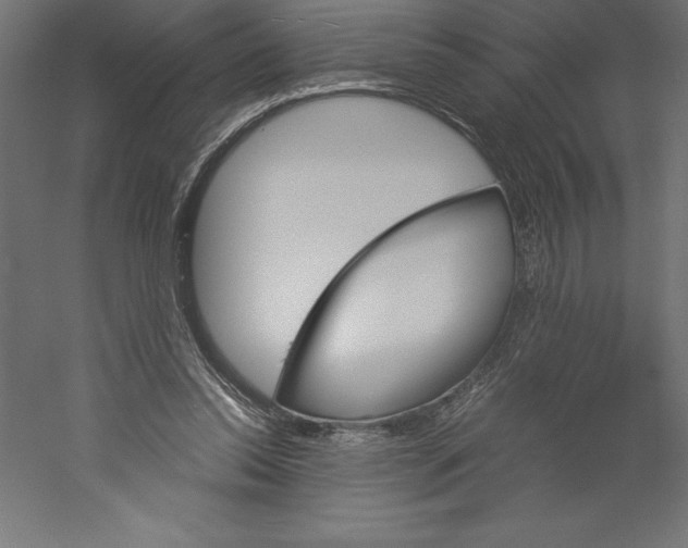 X0000060250350200511241406