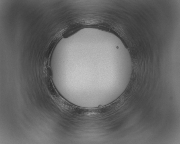 X0000060250360200511241407