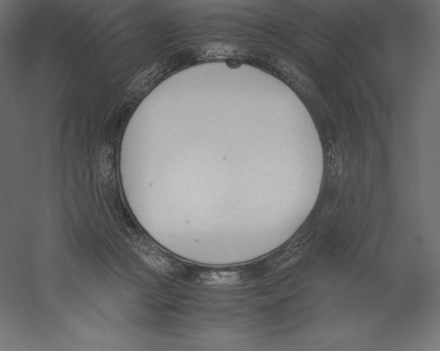 X0000060250361200511241407