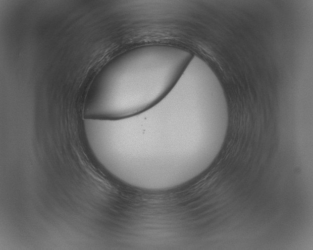 X0000060250362200511241407