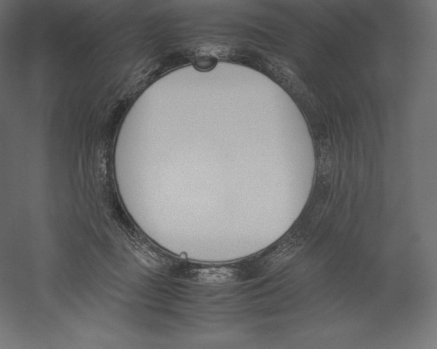 X0000060250363200511241407