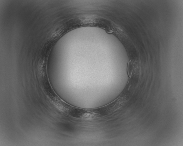 X0000060250364200511241407