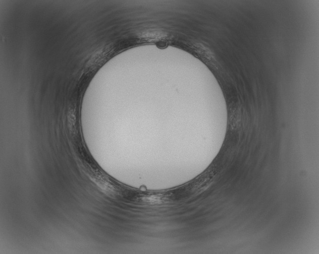 X0000060250365200511241407