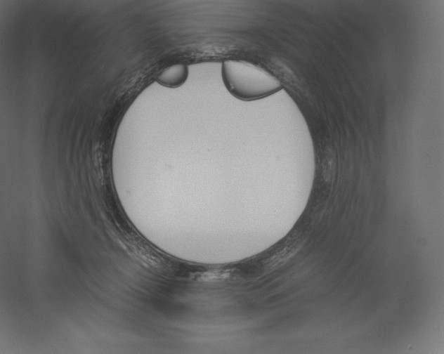 X0000060250366200511241407