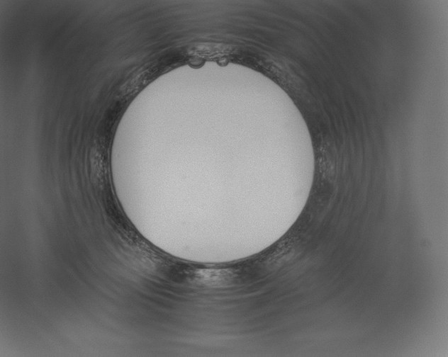 X0000060250371200511241407