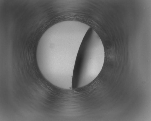 X0000060250372200511241407