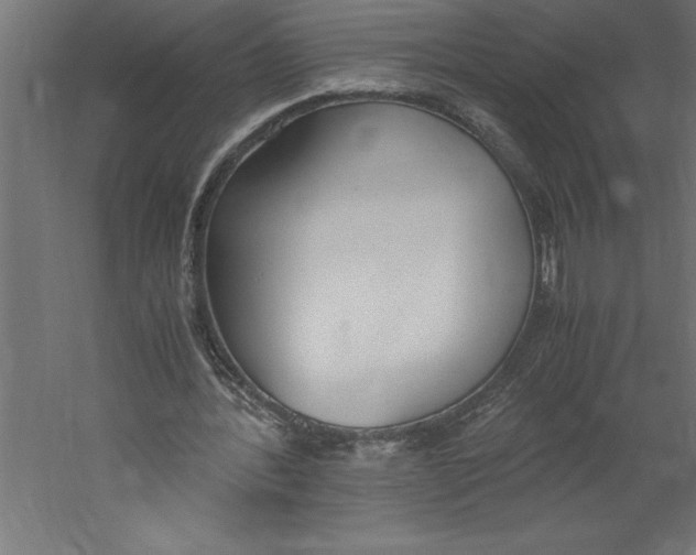 X0000060250388200511241406