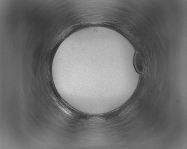 X0000060250397200511241406