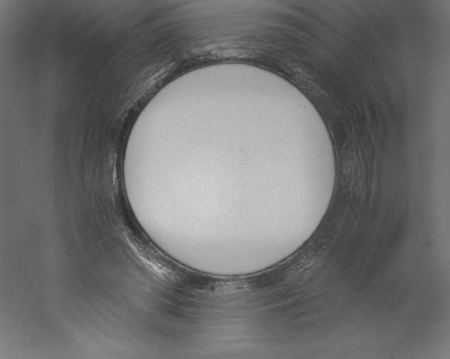 X0000060250398200511241406