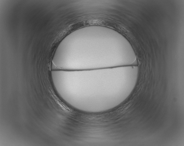 X0000060250401200511241406