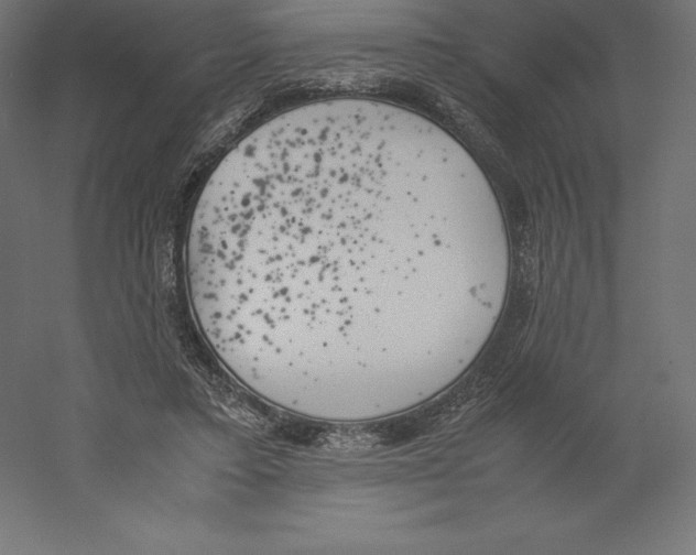 X0000060250403200511241406